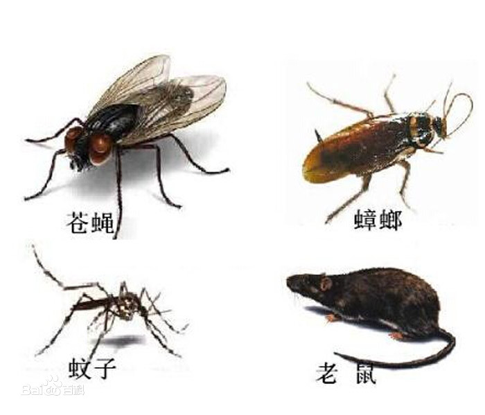 �ĺ��Ķ��x�c�lչ�v��