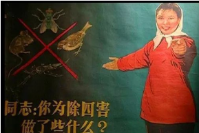 �]�f���£������ĺ����\(y��n)��֮��ȸ