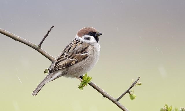 �^ȥ���ĺ��r�������ȸ���c��^�����������s�]ɶӰ�