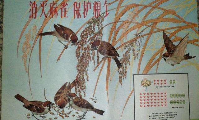 ȫ���c�ġ����ĺ����\(y��n)�ӣ�����