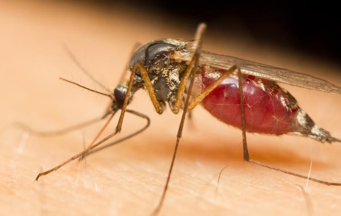 �ĺ�ָ���ķN��(d��ng)��֮�nω������