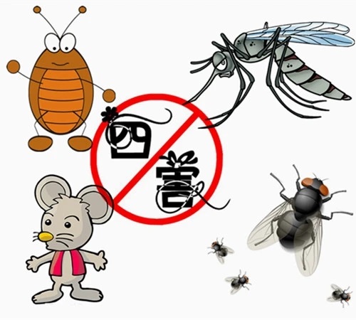 �ĺ�������Щ